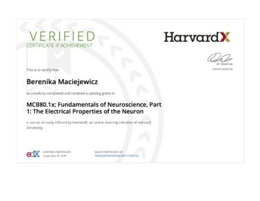 Berenika Maciejewicz Harvard Neuroscience Program